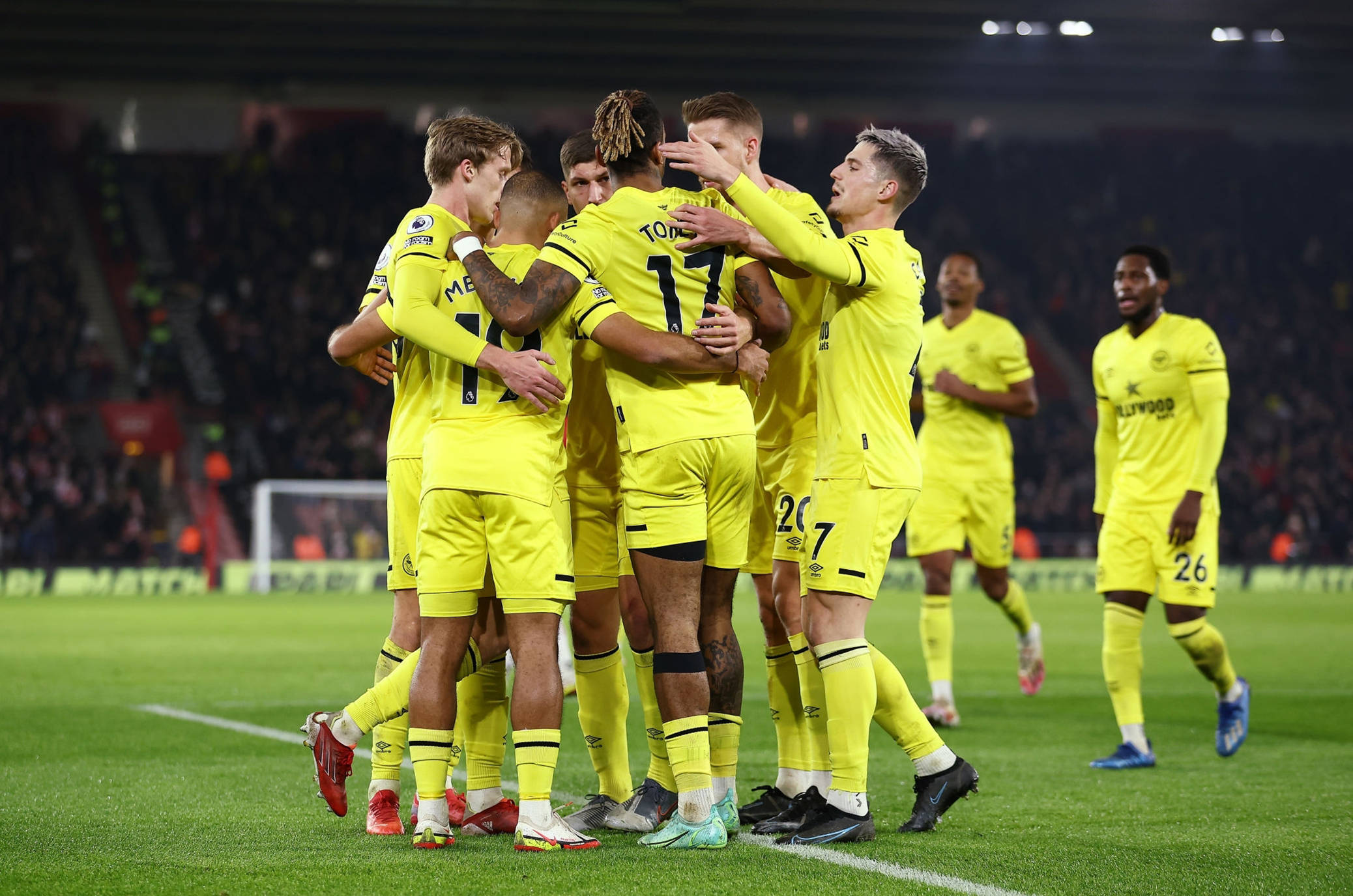 的避风港 的避风港