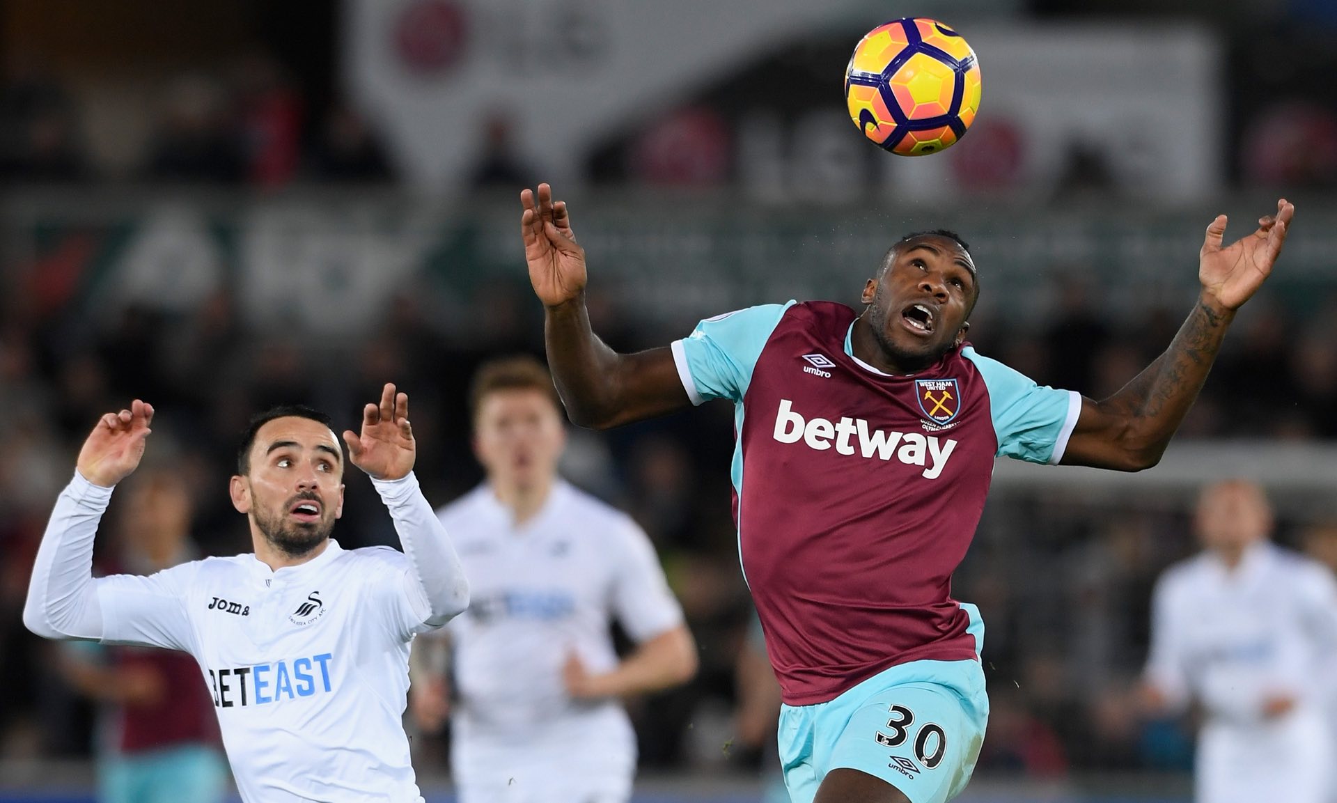 波普已回归 波普已回归